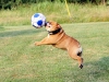 Gia in action