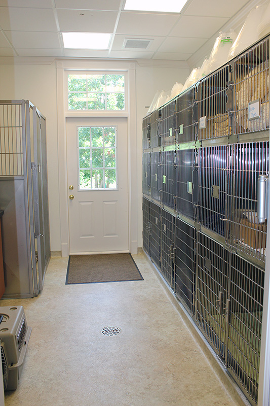10-kennel