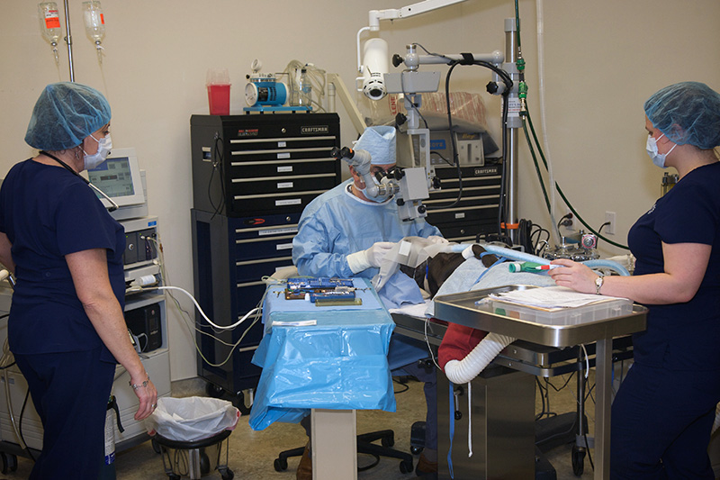 9-surgery